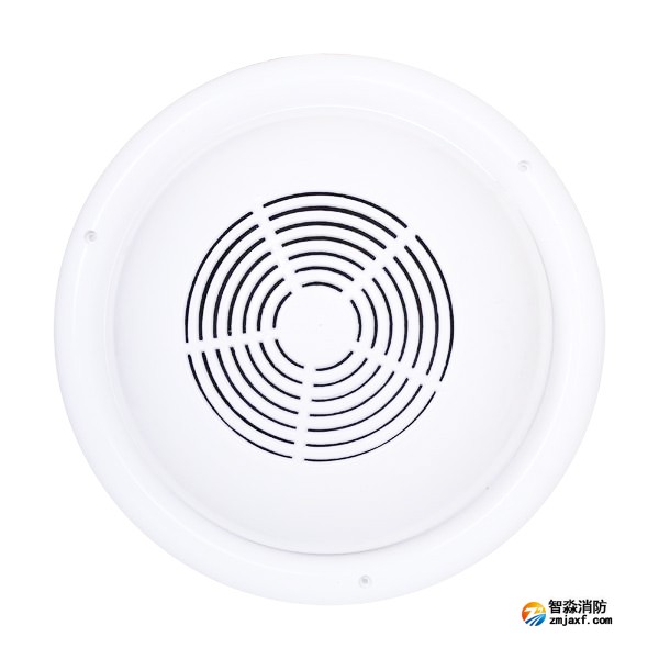 天津海灣WY-XD5-5明裝式音箱