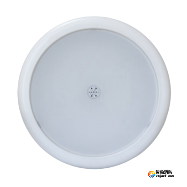 天津海灣HW-ZFJC-E18W-N655SG集電集控型消防應(yīng)急照明燈具