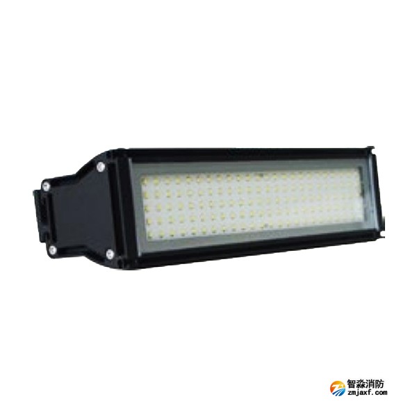 天津海灣HW-ZFJC-E8W-VN761壁掛照明燈